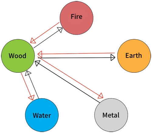 Diagram of the Wood element's relationships with the Five Elements in Chinese Medicine