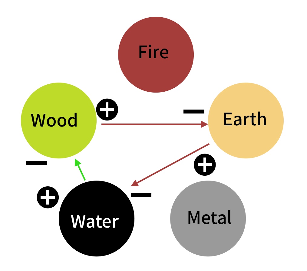 Cycle of relationships between Water, Wood, and Earth elements in the Five Elements of Chinese Medicine
